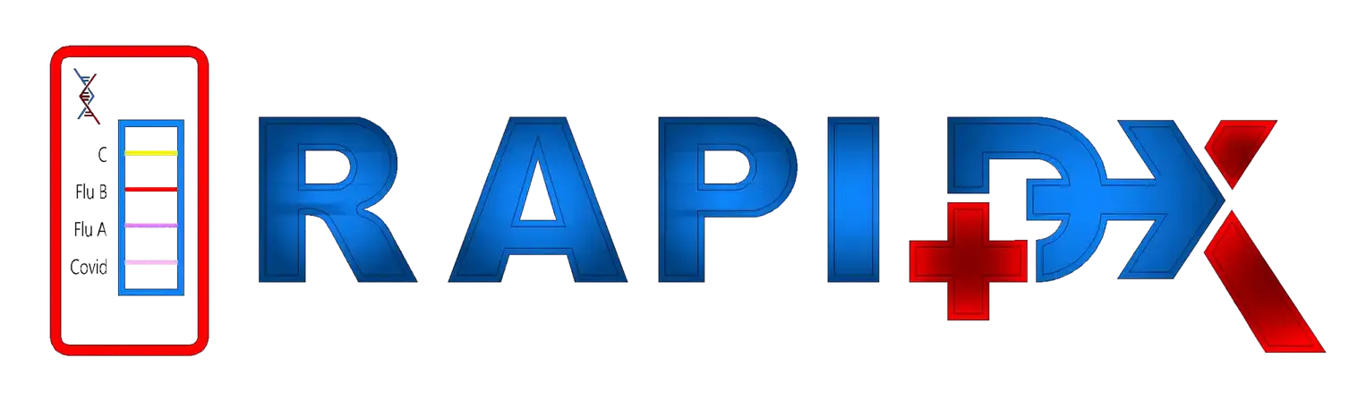 LOGO RAPIDX Model scaled e1753185359700