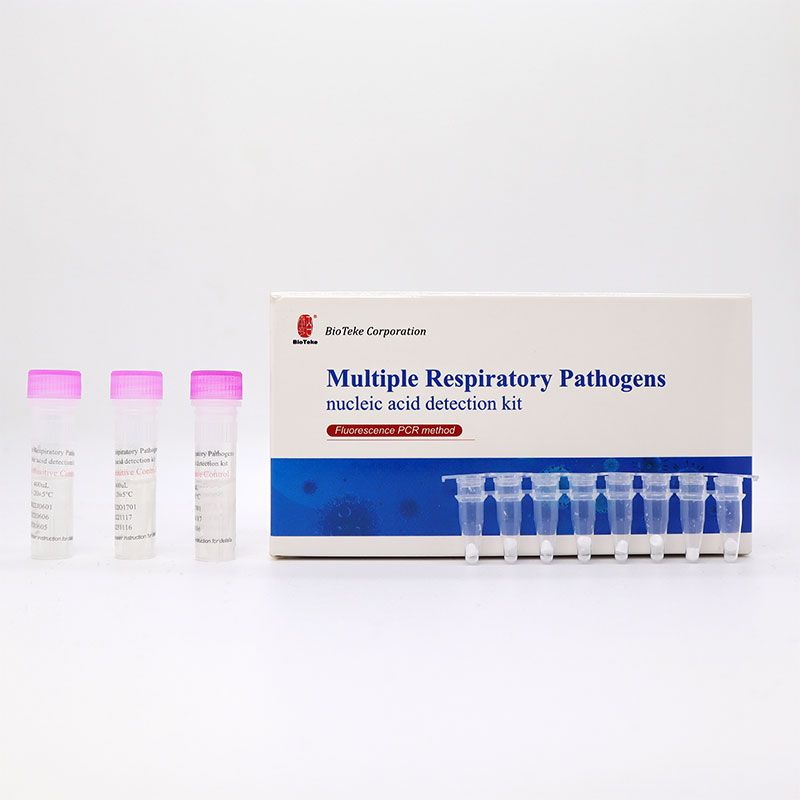 repiratory pcr kit RSV