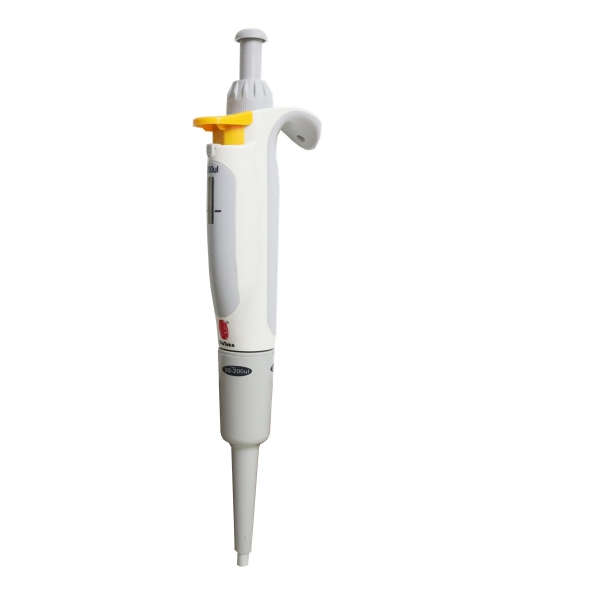 WPStupian-xiugaichicun_702_702_596_596